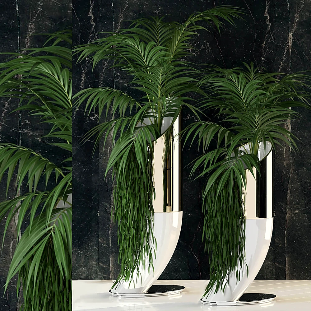 Plants / Vases 1