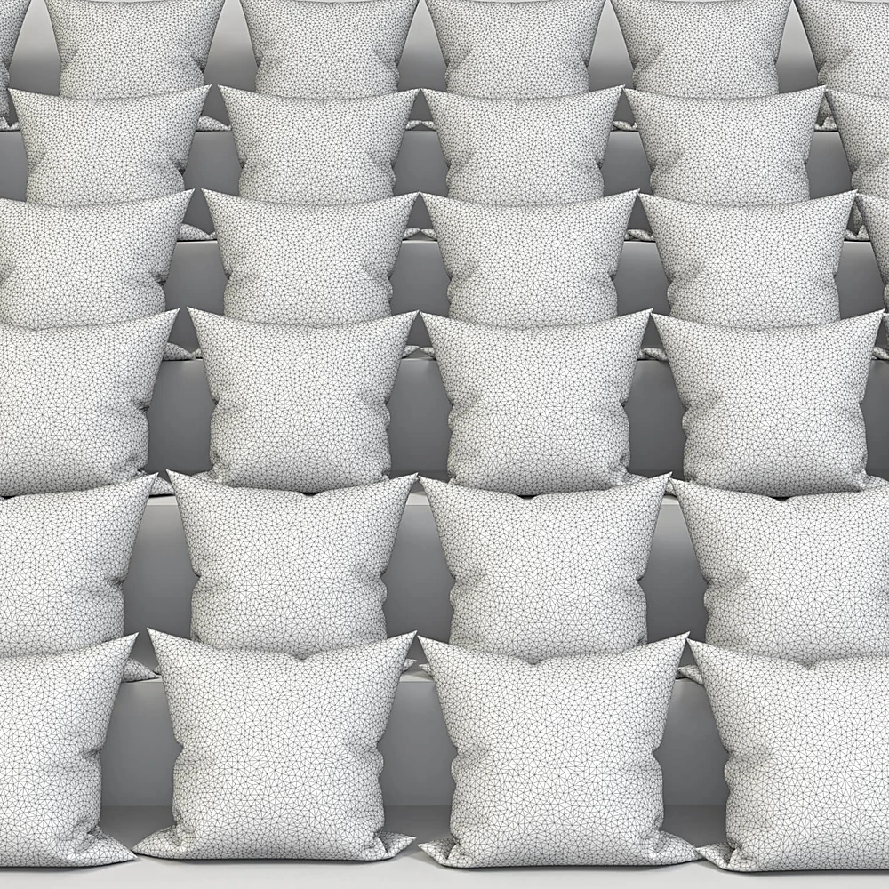 Set of Decorative Pillows with Diverse Patterns (2)