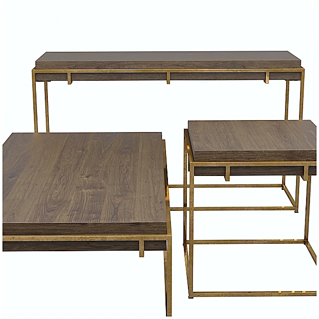 Modern Furniture Set with Dark Wood and Gold Metal