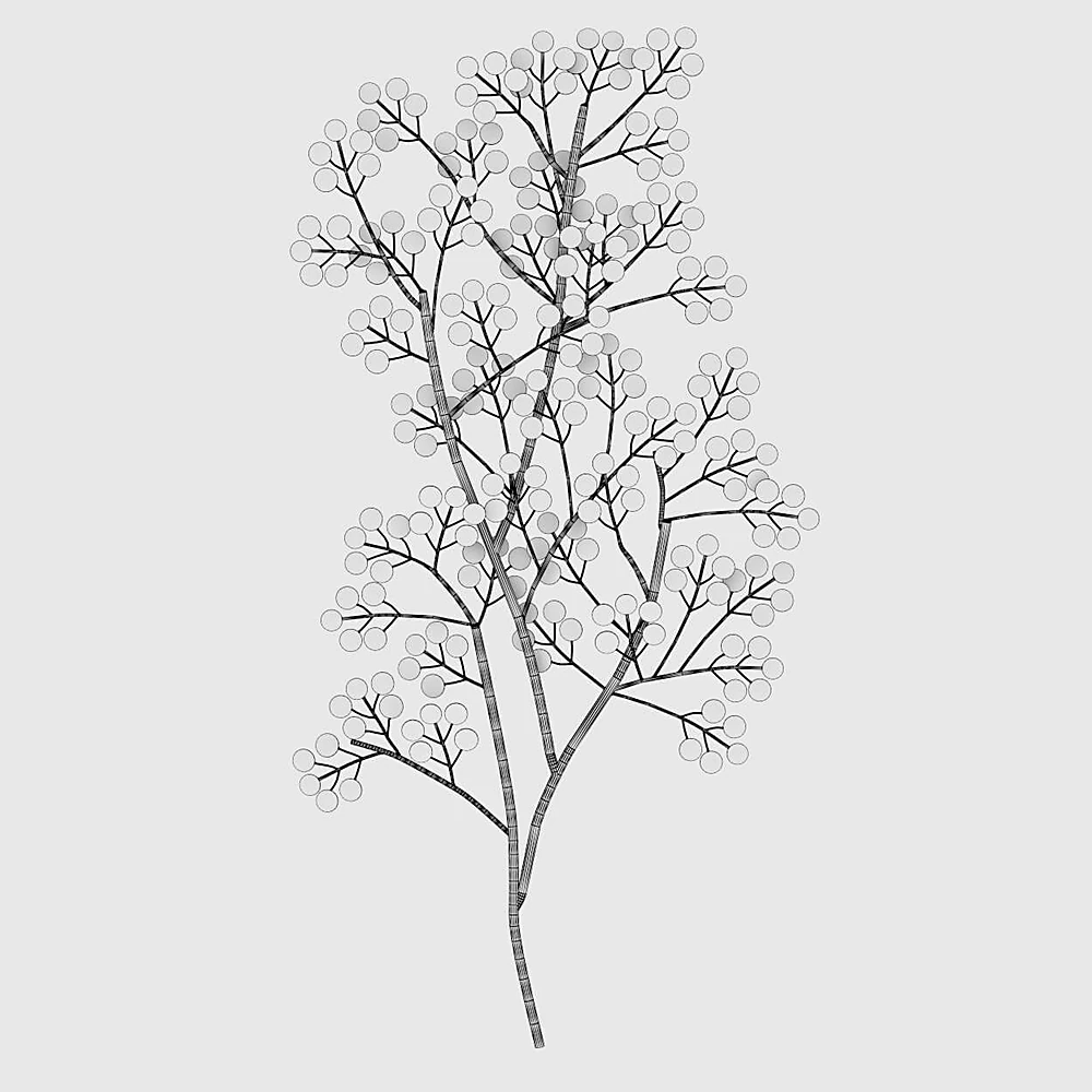 Autres objets décoratifs 3