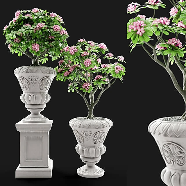Decorative Potted Plant Set in Classic Vases