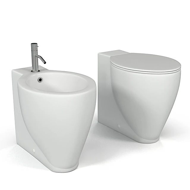 Toilet and Bidet 1