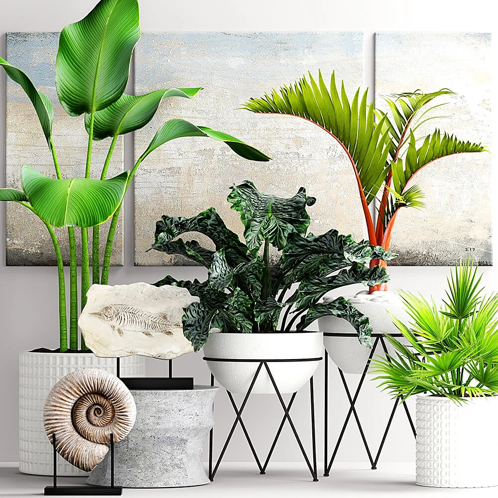 Plant Collection with Decorative Elements