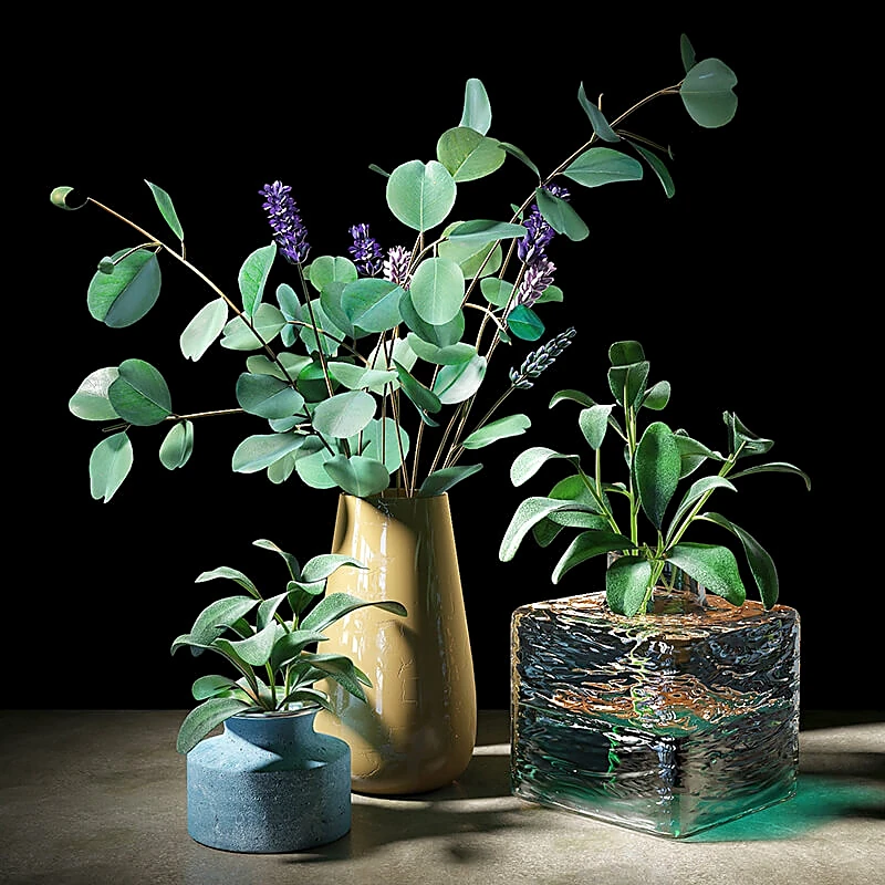 Set of Decorative Plants with Ceramic, Concrete, and Glass Vases