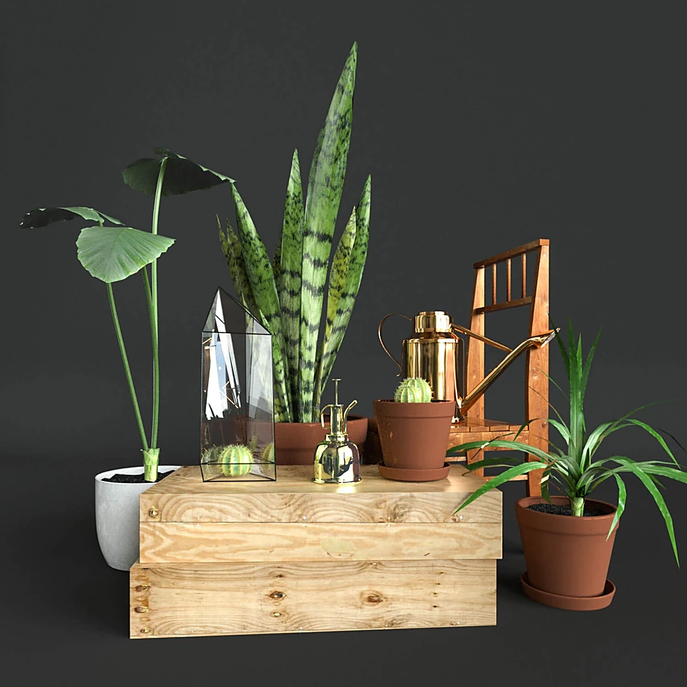 Decorative Set with Potted Plants and Brass Accents