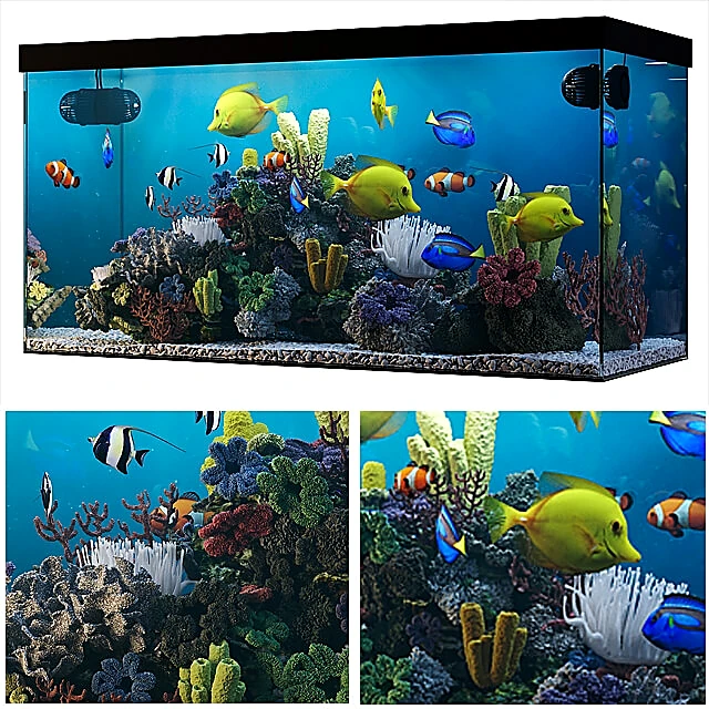 Seawater Aquarium with Vibrant Coral and Fish