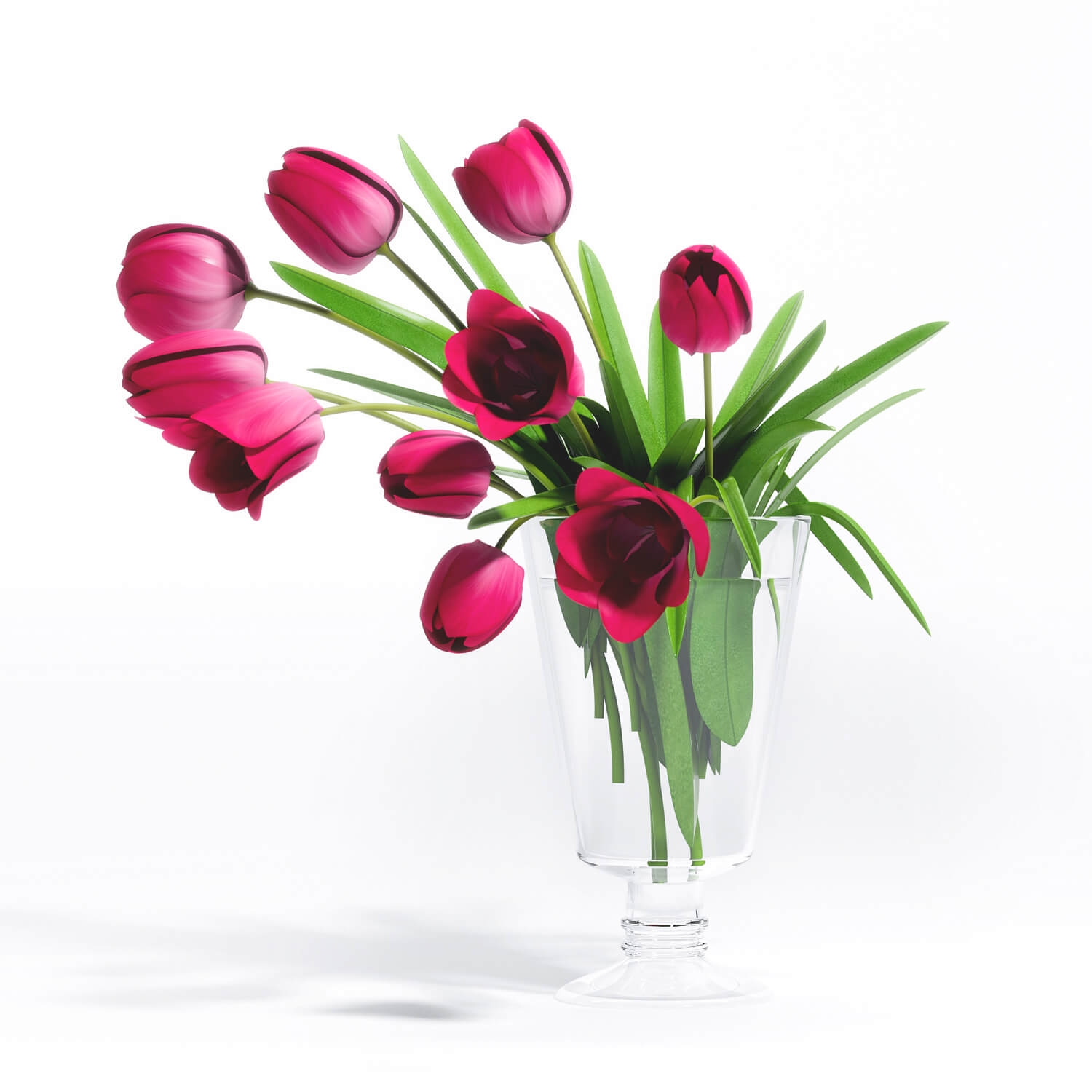 Tulip Flower - 5 - Download the 3D Model (13970) | zeelproject.com