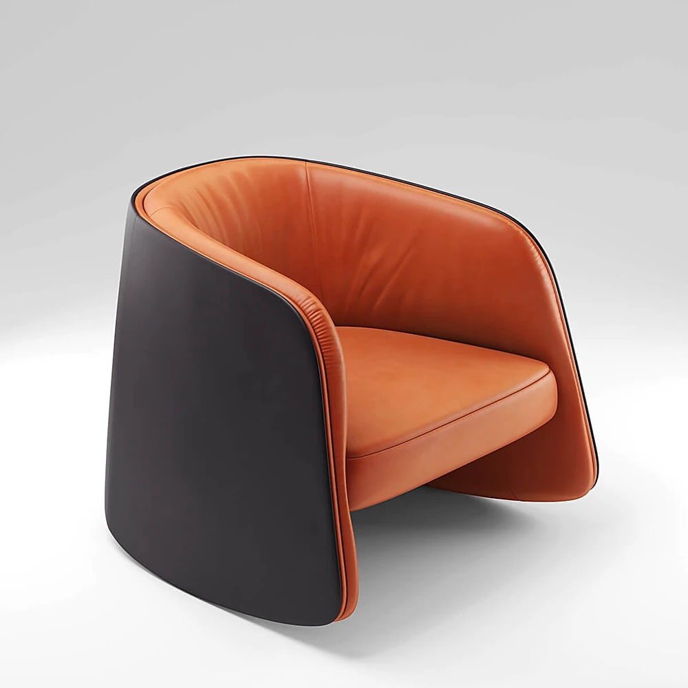 Armchair DS-900 by De Sede (2)