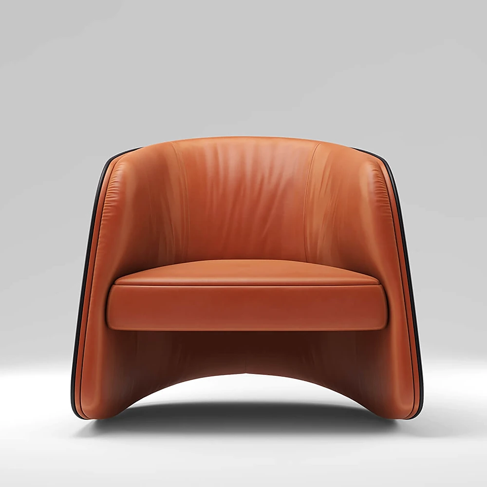 Armchair DS-900 by De Sede (3)