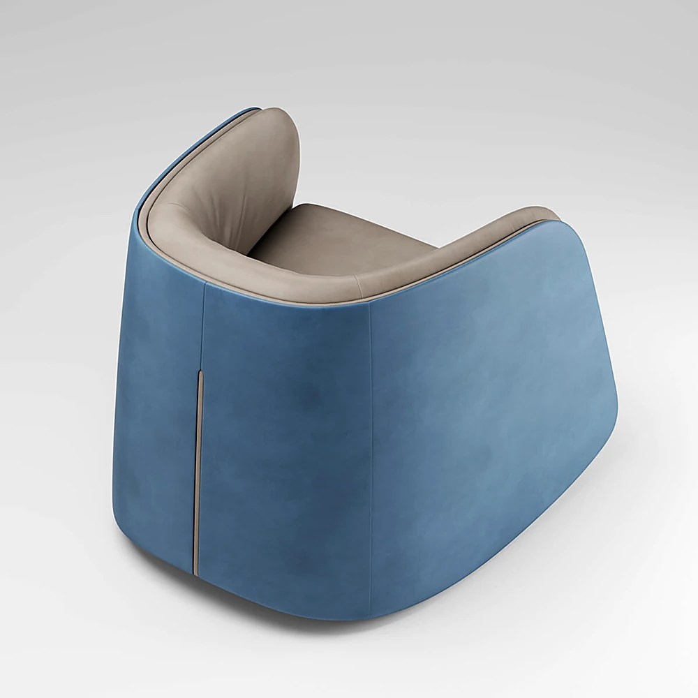 Armchair DS-900 by De Sede (4)