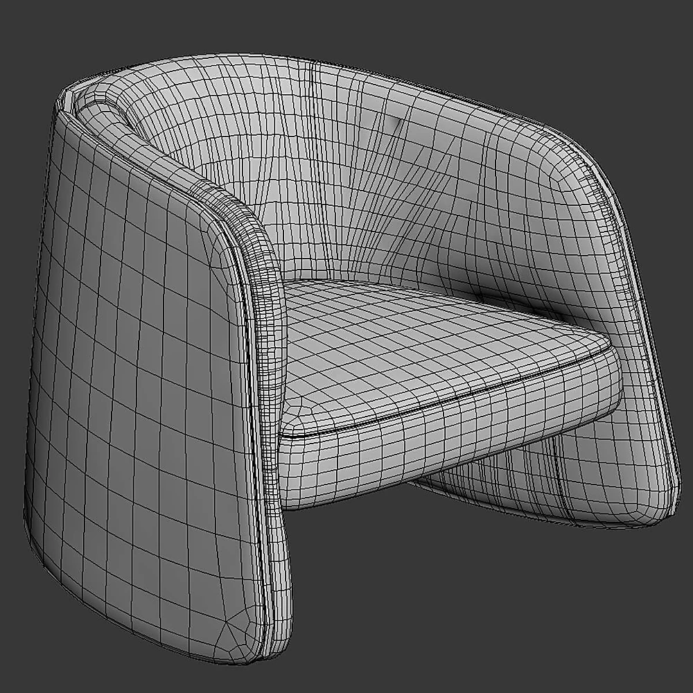 Armchair DS-900 by De Sede (6)