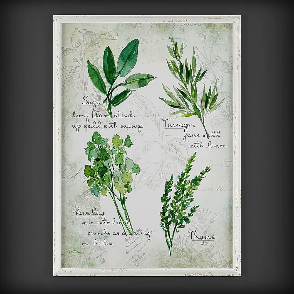 Framed botanical prints with antique fern illustrations (2)