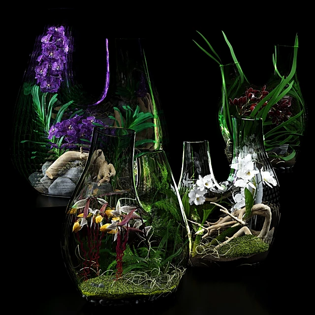 Terrarium Vase Set with Orchids and Natural Elements