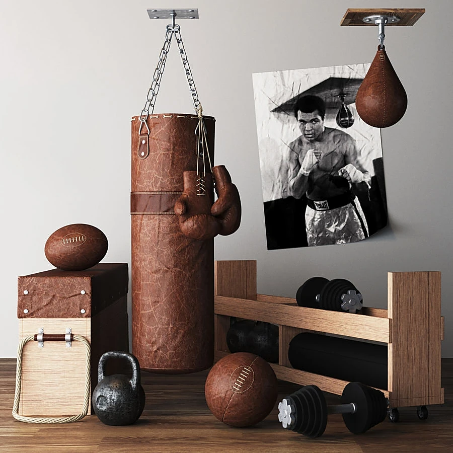 Home Gym Set with Vintage Leather and Wood Elements