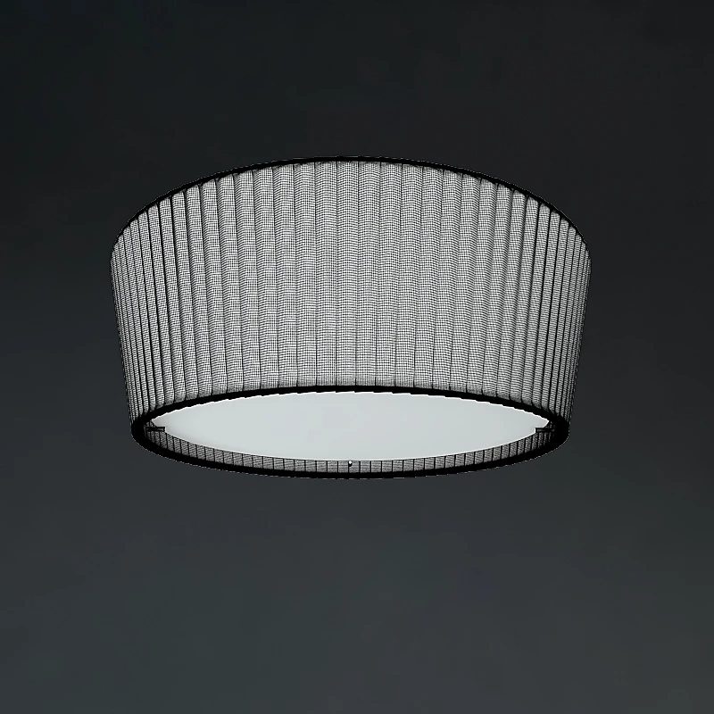 Ceiling lamp 2