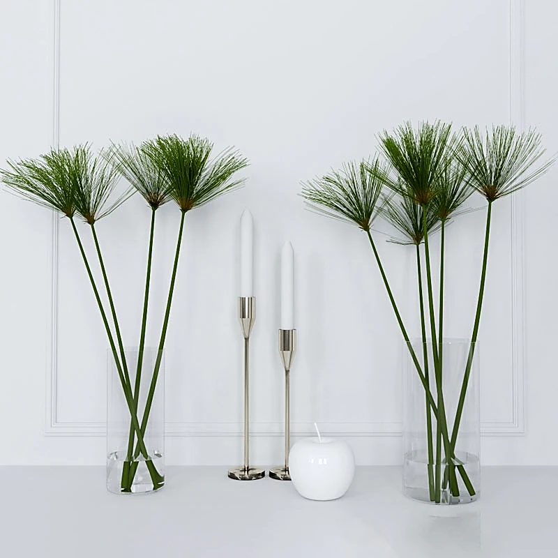 Decorative Plant Arrangement with Papyrus and Glass Vases
