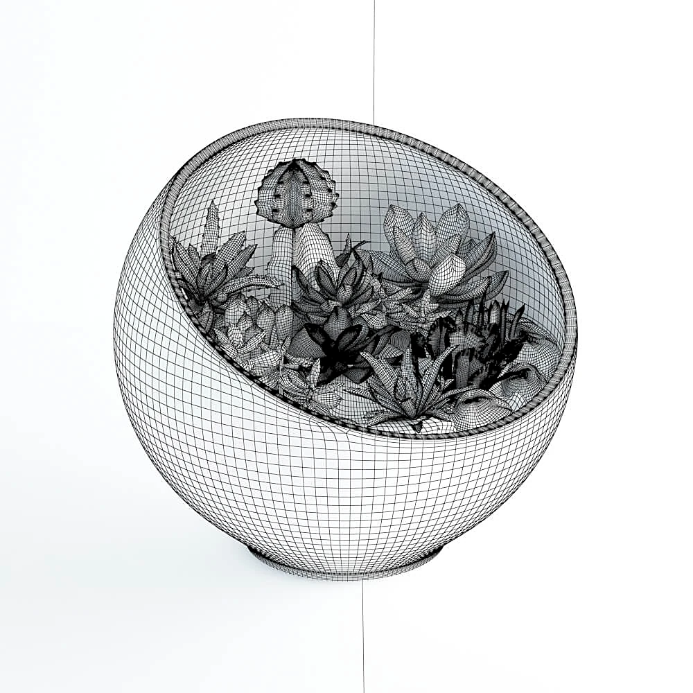 Decorative Terrarium with Succulents in Glass Bowl (2)
