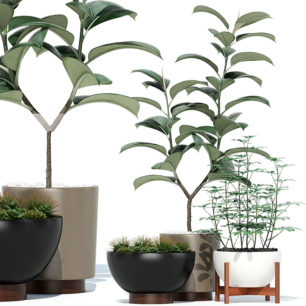 Potted Plants Collection 73 Pots by Modernica