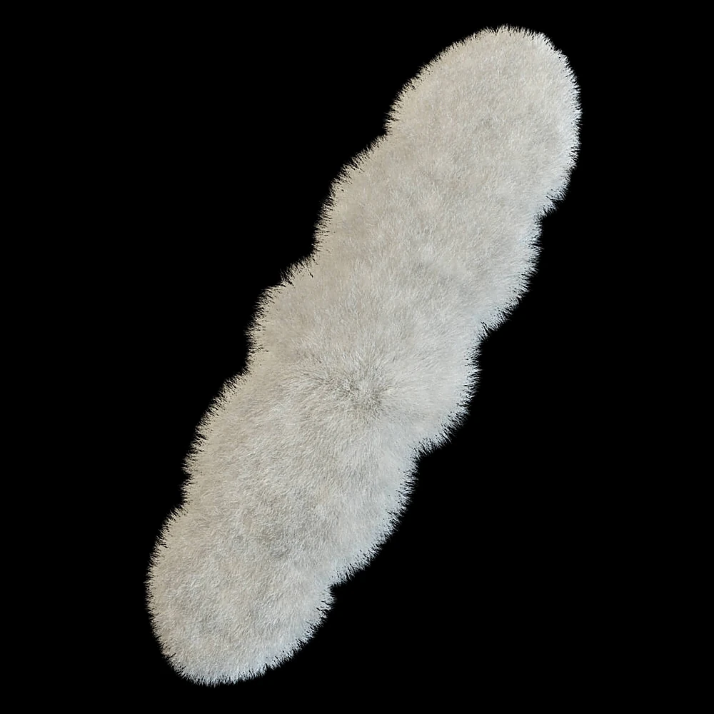 Sheepskin Carpet with Long Pile