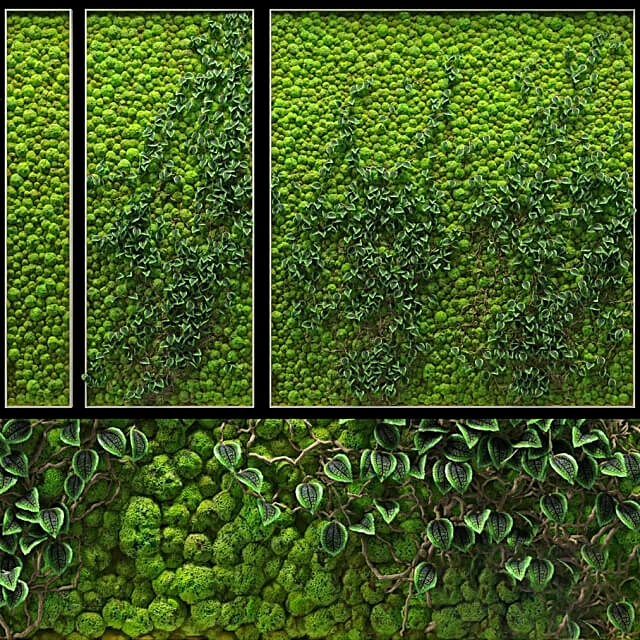 Plants / Other decorative objects 1