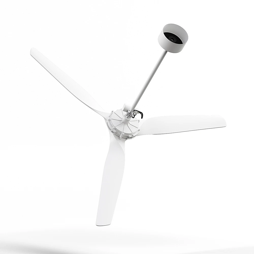 Other decorative objects 3