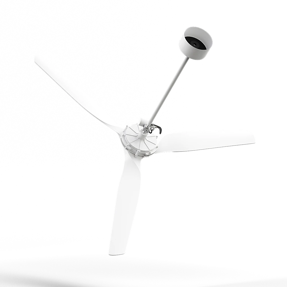 Other decorative objects 4