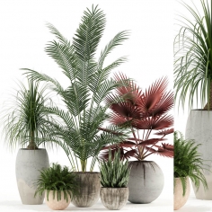 Plants collection 122 - download 3d model | ZeelProject.com