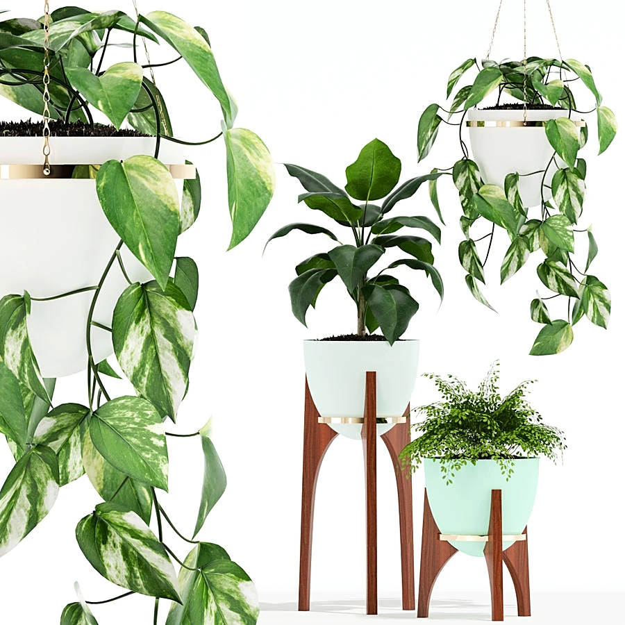 Indoor Plant Collection with Retro Planters and Wooden Stands
