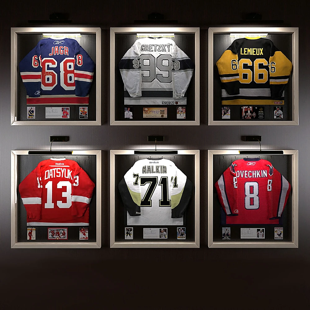 Framed Hockey Jerseys NHL Stars Display