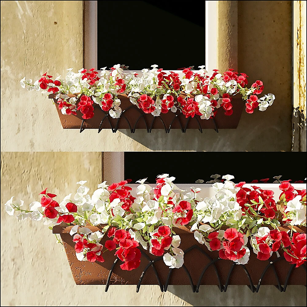 Flower Box with Red and White Flowers