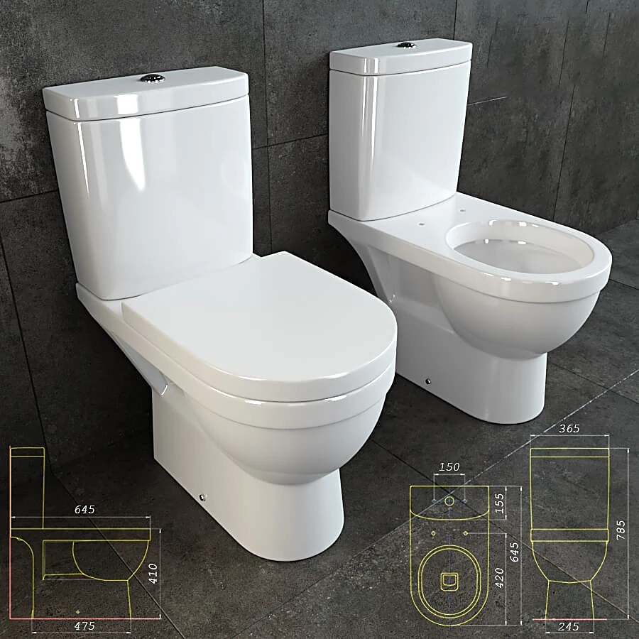 Toilet and Bidet 1