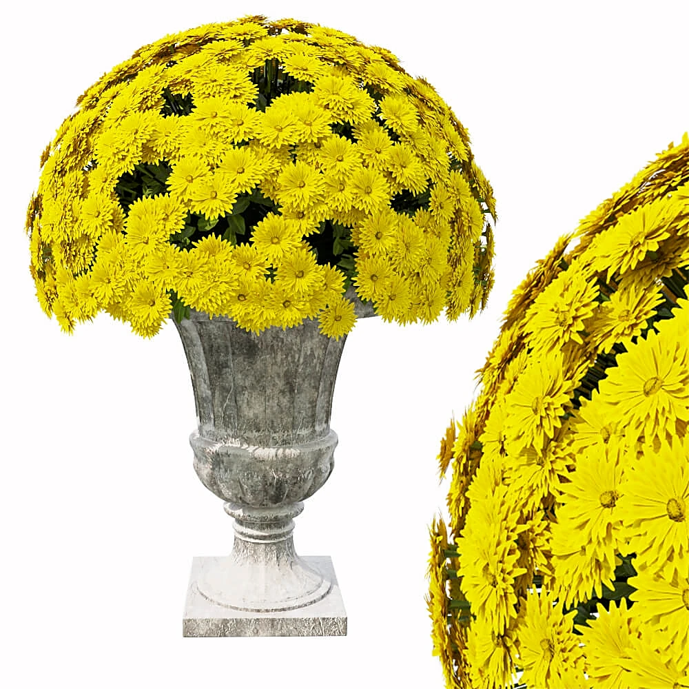 Potted flower arrangement with weathered planter