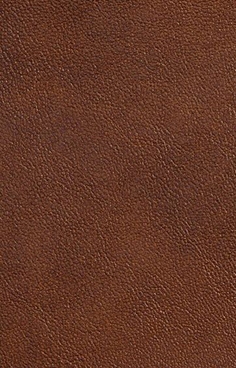 Textures » Leather » Download for Your Design Projects | Zeel Project ...