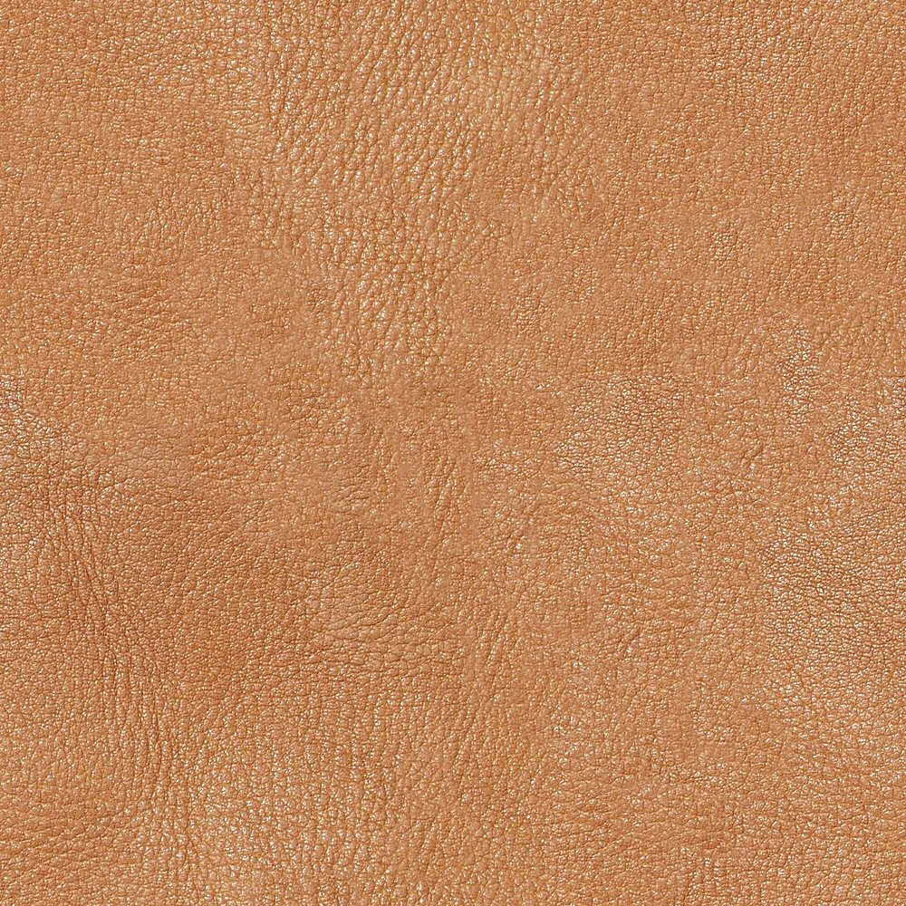 Leather 1