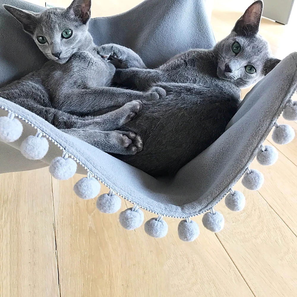 Другие предметы 1