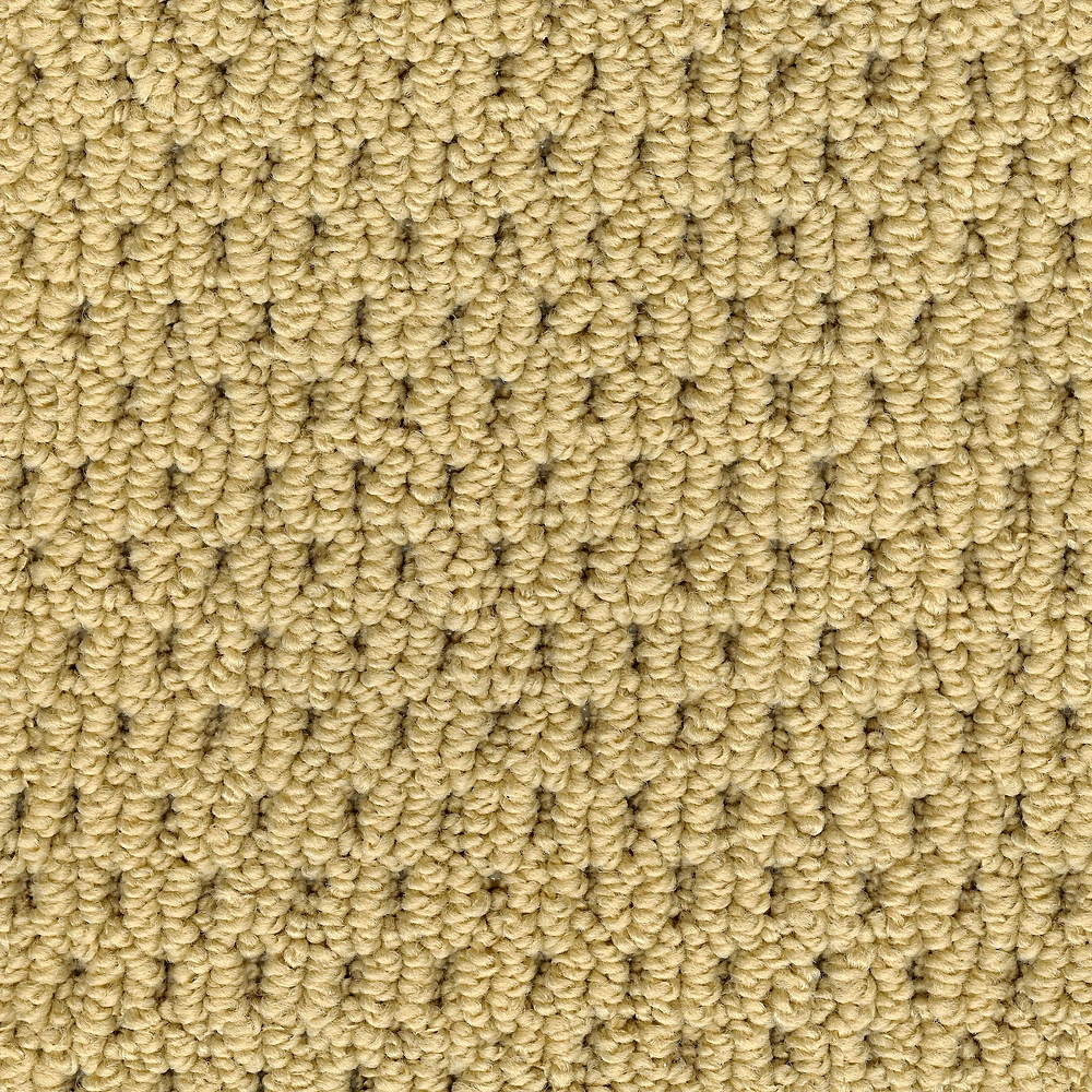 Տարատեսակ 1