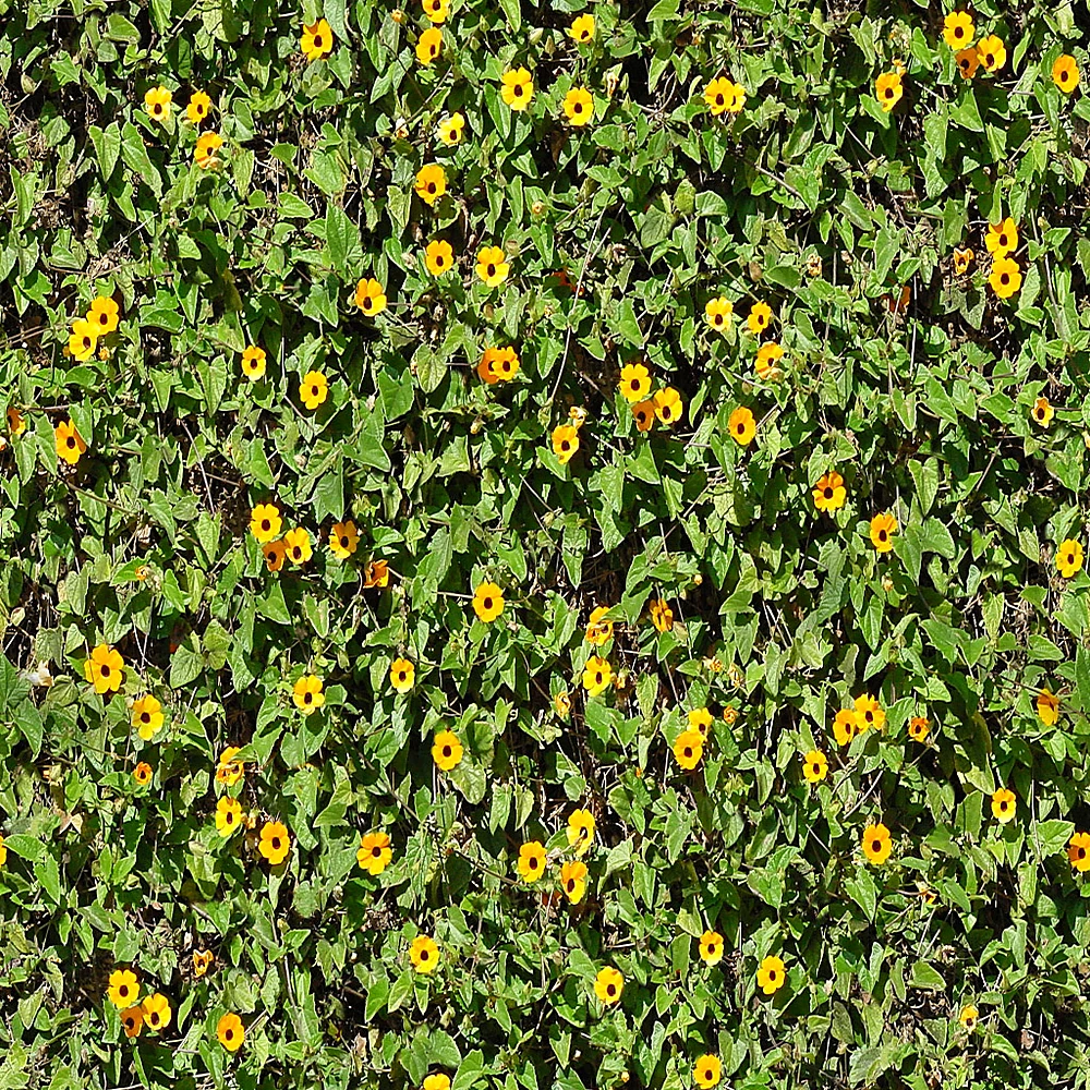 Բնական նյութեր 1