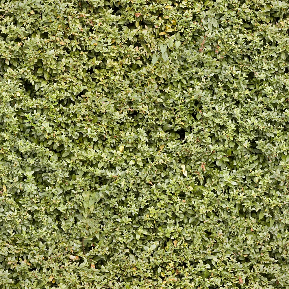 Matériaux naturels 1