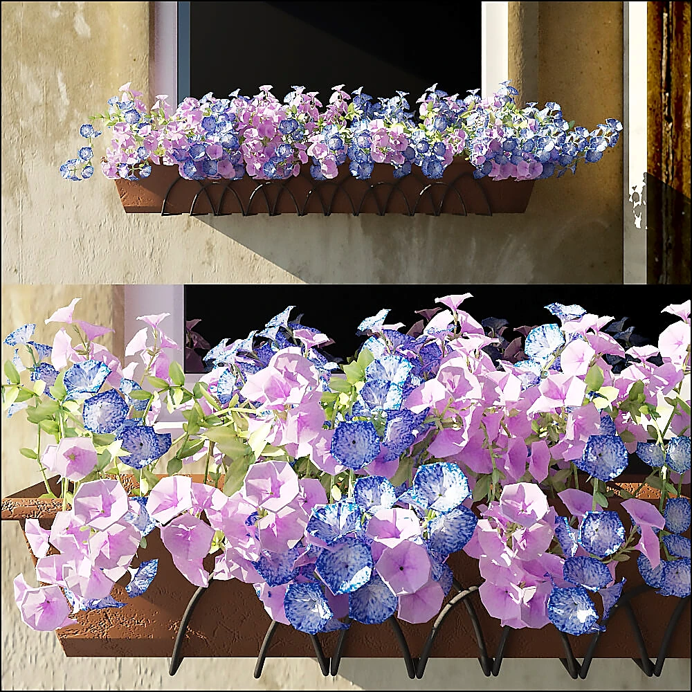 Flower Box with Pink and Blue Flowers
