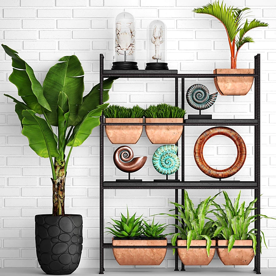 Plants / Decorative set 1