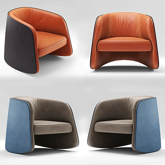 Armchair DS-900 by de Sede