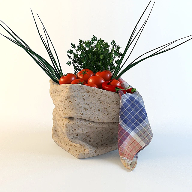 Vegetable Bag with Fresh Produce and Plaid Napkin