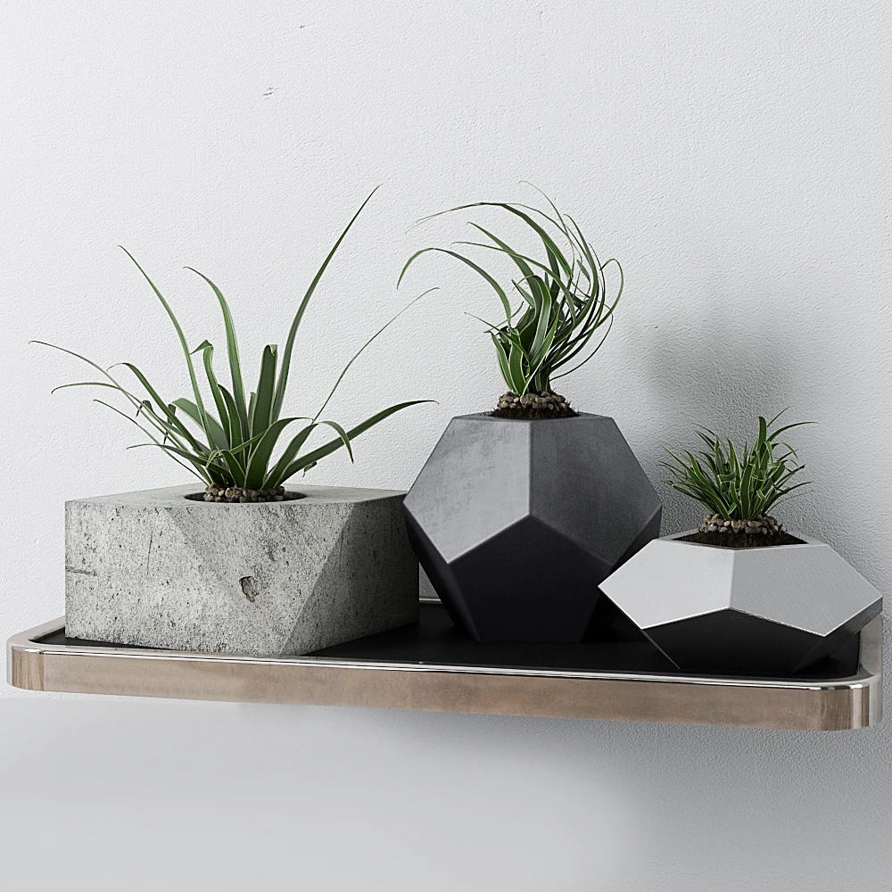 Plants / Decorative set 1