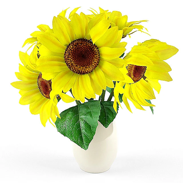 Plantes 1