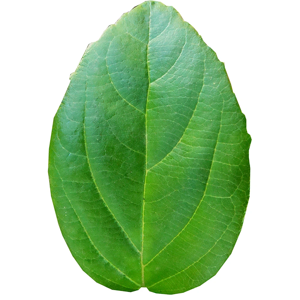 Accessori da bagno 1