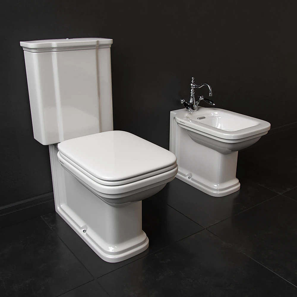 Toilet and Bidet 1