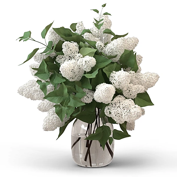 Lilac Arrangement with White Blooms in Glass Vase