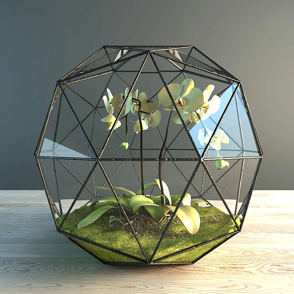 Geometric Terrarium with Orchid Plant