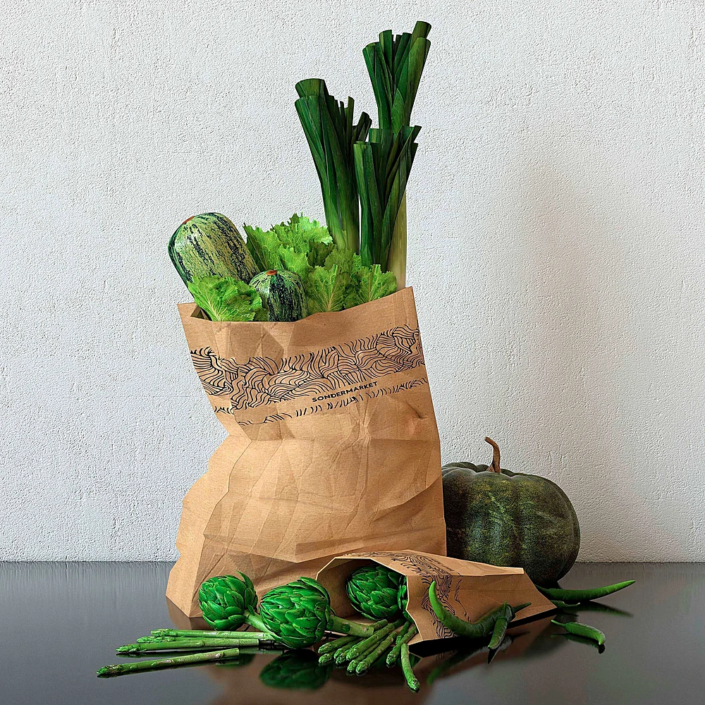 Grocery Bag with Fresh Green Vegetables