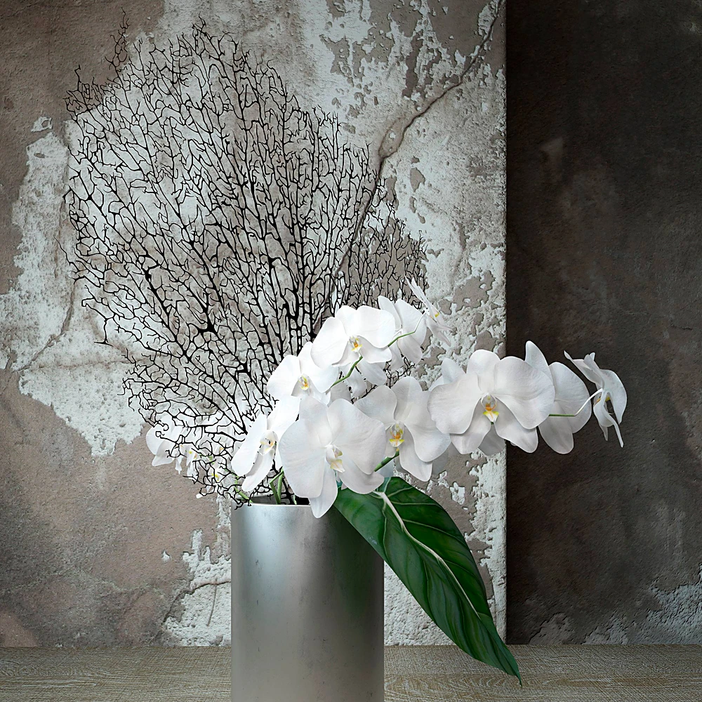 Plants / Vases 2